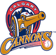 CALGARY CANNONS